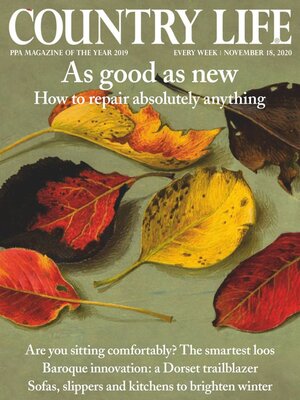 cover image of Country Life